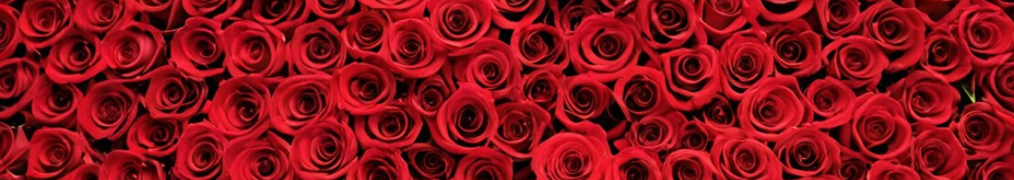 Порадуй любимых